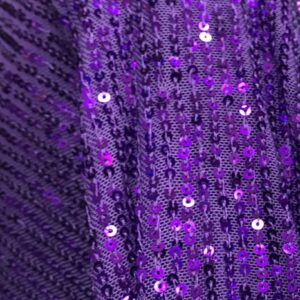 Paetê Roxo