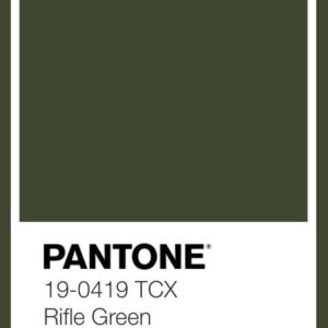 Crepe Zara Verde Oliva 2